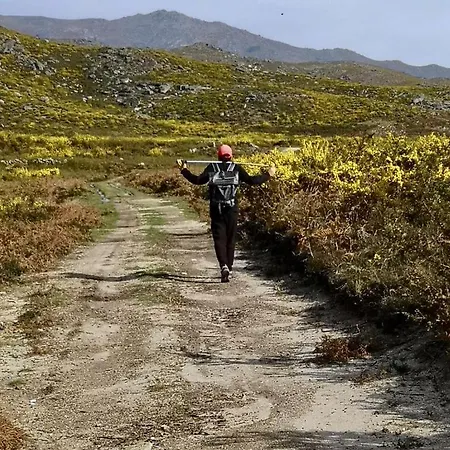 公寓 Gotogeres - Casa Da Eira - Sobrenatura 阿尔库什迪瓦尔德维什